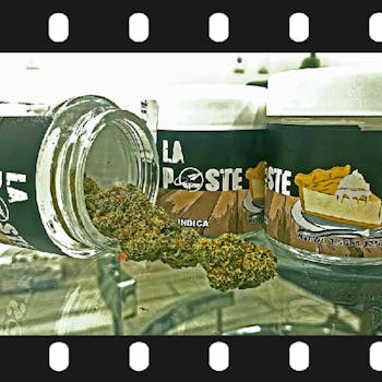 La Poste - Vanilla Crème Pie Indoor @ 30.55% THC